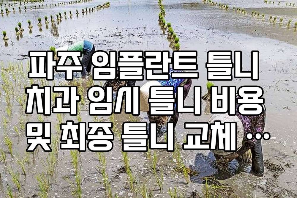파주 임플란트 틀니 치과 임시 틀니 비용 및 최종 틀니 교체 시기 정리