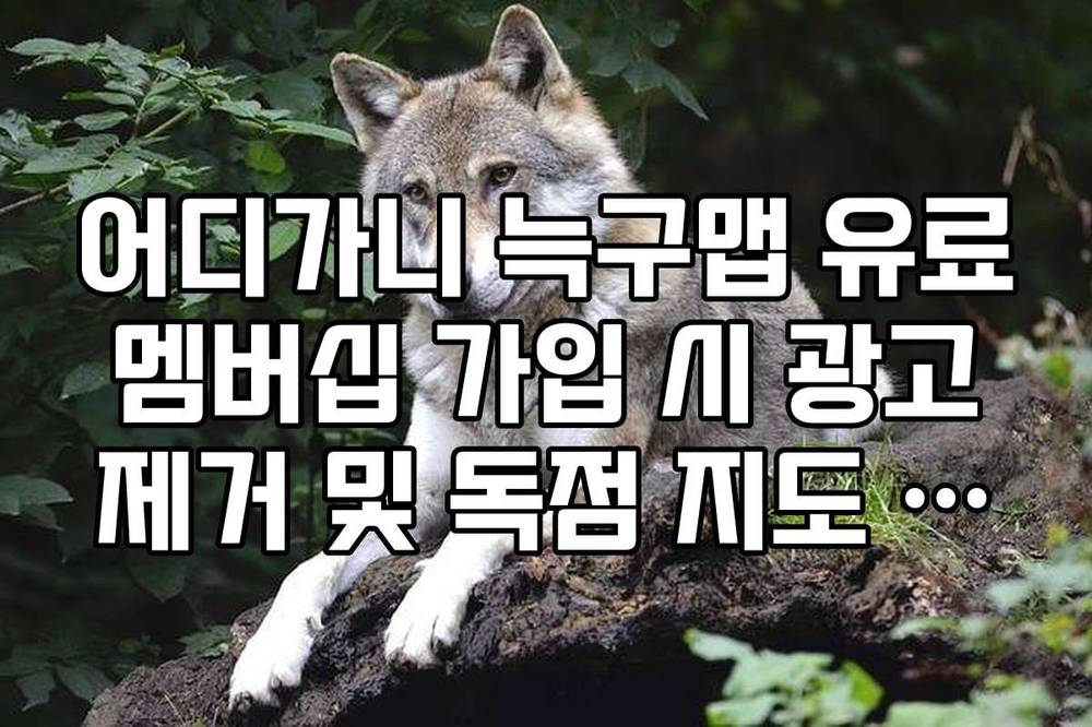 어디가니 늑구맵 유료 멤버십 가입 시 광고 제거 및 독점 지도 혜택