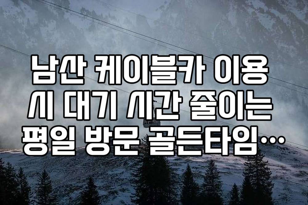 남산 케이블카 이용 시 대기 시간 줄이는 평일 방문 골든타임 안내