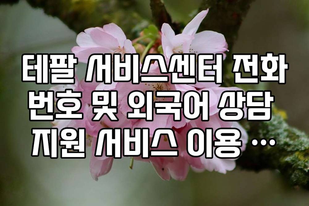 테팔 서비스센터 전화번호 및 외국어 상담 지원 서비스 이용 가이드