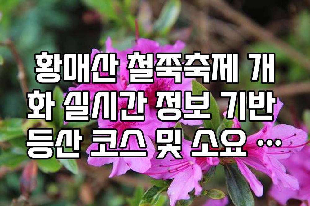 황매산 철쭉축제 개화 실시간 정보 기반 등산 코스 및 소요 시간 정리