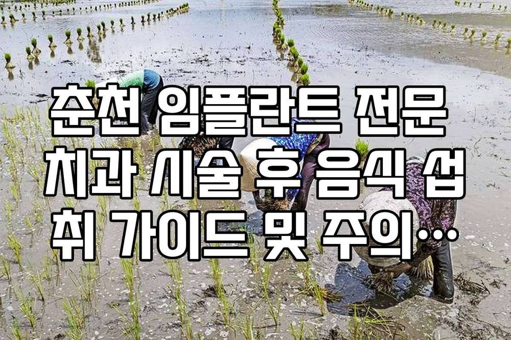 춘천 임플란트 전문 치과 시술 후 음식 섭취 가이드 및 주의사항