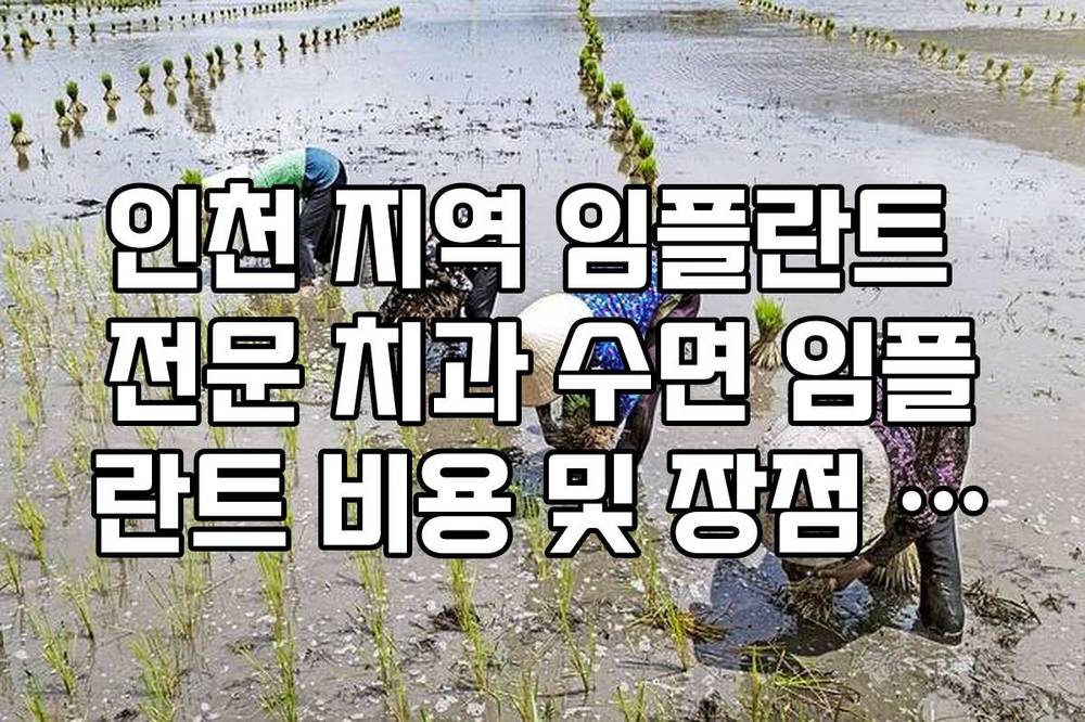 인천 지역 임플란트 전문 치과 수면 임플란트 비용 및 장점 가이드