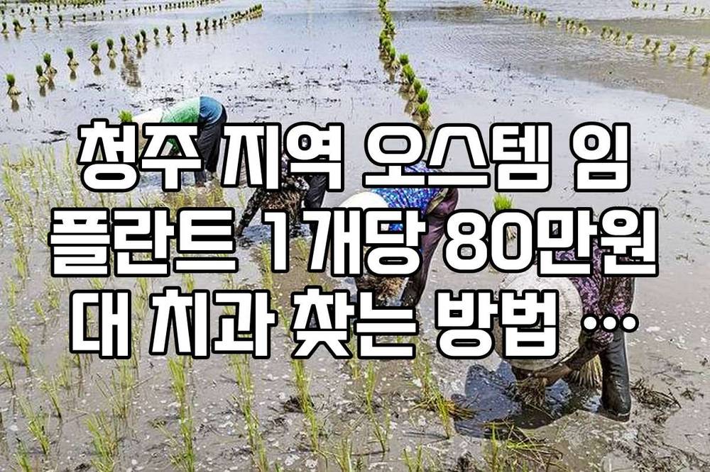 청주 지역 오스템 임플란트 1개당 80만원대 치과 찾는 방법 정리