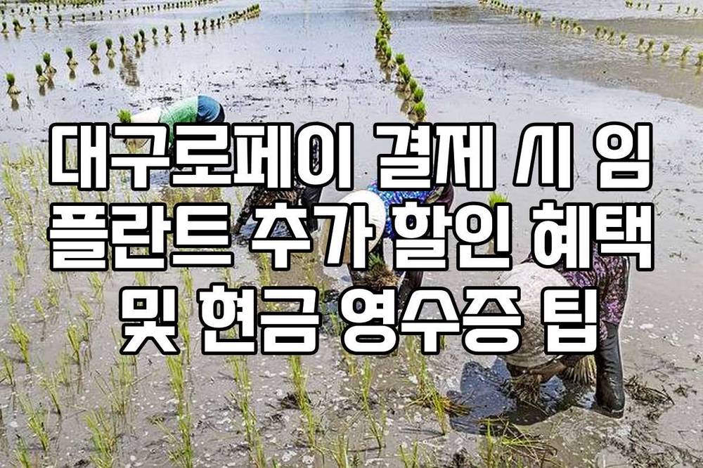 대구로페이 결제 시 임플란트 추가 할인 혜택 및 현금 영수증 팁