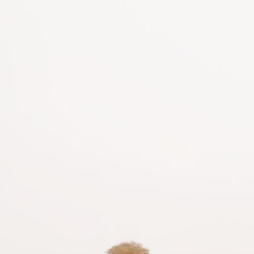 관련 이미지