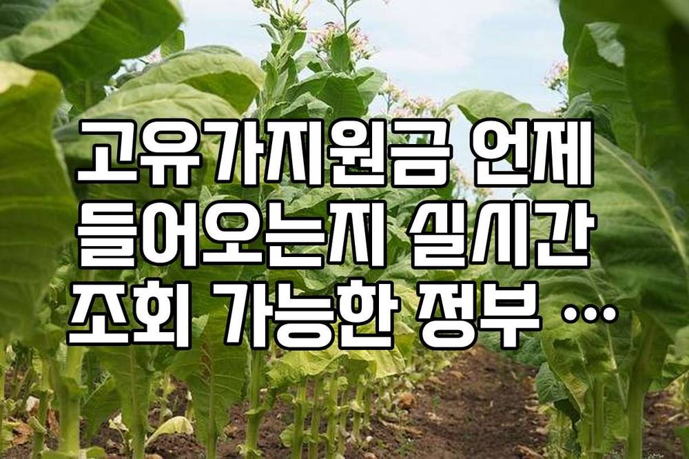 고유가지원금 언제 들어오는지 실시간 조회 가능한 정부 포털 활용법