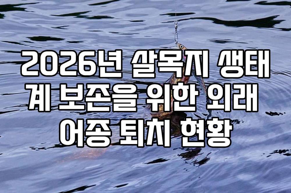 2026년 살목지 생태계 보존을 위한 외래 어종 퇴치 현황