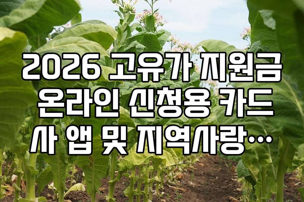 2026 고유가 지원금 온라인 신청용 카드사 앱 및 지역사랑상품권 설정법