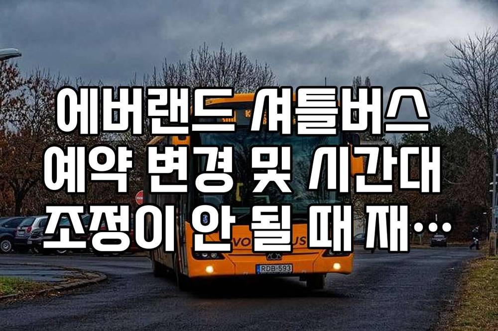 에버랜드 셔틀버스 예약 변경 및 시간대 조정이 안 될 때 재결제 순서