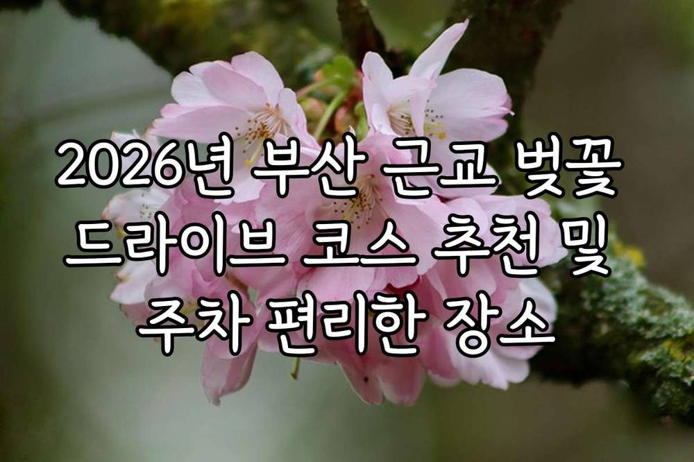2026년 부산 근교 벚꽃 드라이브 코스 추천 및 주차 편리한 장소