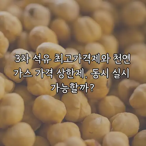 3차 석유 최고가격제와 천연가스 가격 상한제, 동시 실시 가능할까?