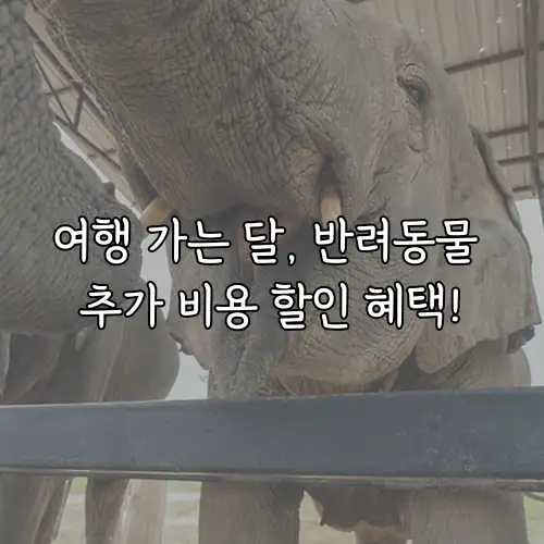 여행 가는 달, 반려동물 추가 비용 할인 혜택!