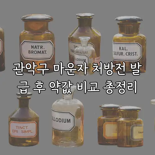 관악구 마운자 처방전 발급 후 약값 비교 총정리