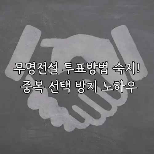 무명전설 투표방법 숙지! 중복 선택 방지 노하우
