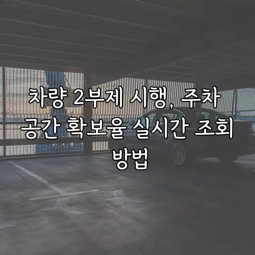 차량 2부제 시행, 주차 공간 확보율 실시간 조회 방법