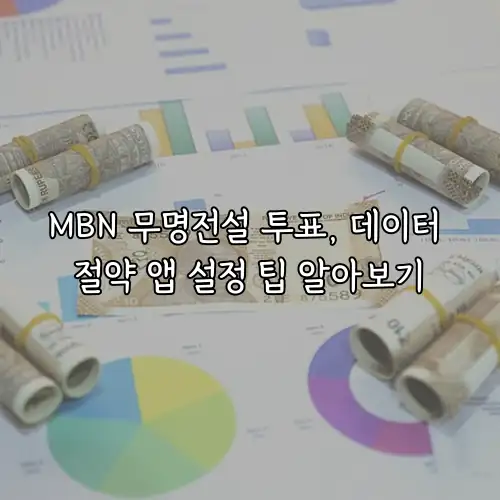 MBN 무명전설 투표, 데이터 절약 앱 설정 팁 알아보기