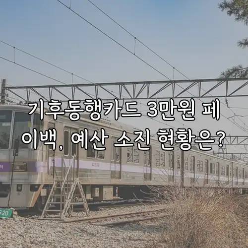 기후동행카드 3만원 페이백, 예산 소진 현황은?