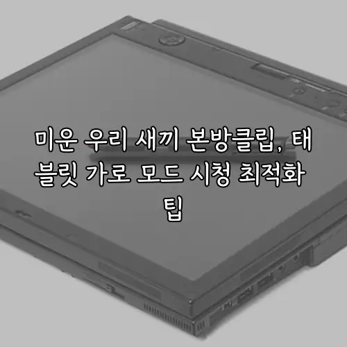 미운 우리 새끼 본방클립, 태블릿 가로 모드 시청 최적화 팁