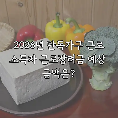 2026년 단독가구 근로소득자 근로장려금 예상 금액은?