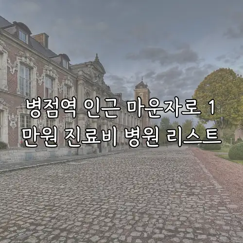 병점역 인근 마운자로 1만원 진료비 병원 리스트