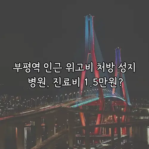 부평역 인근 위고비 처방 성지 병원, 진료비 1.5만원?