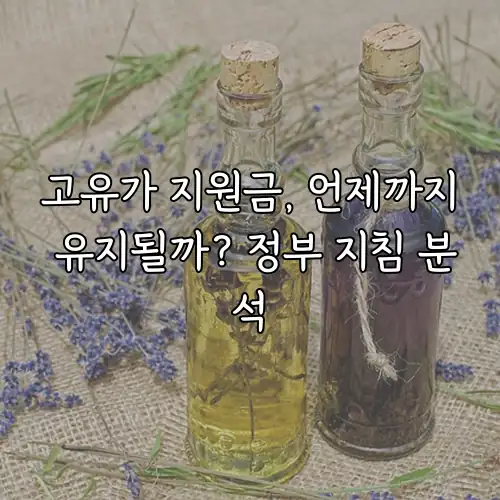 고유가 지원금, 언제까지 유지될까? 정부 지침 분석