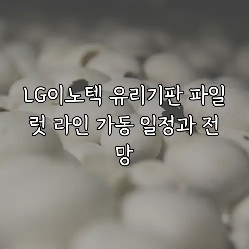 LG이노텍 유리기판 파일럿 라인 가동 일정과 전망