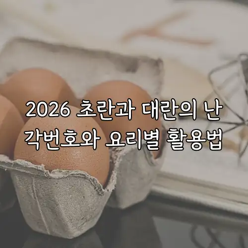 2026 초란과 대란의 난각번호와 요리별 활용법