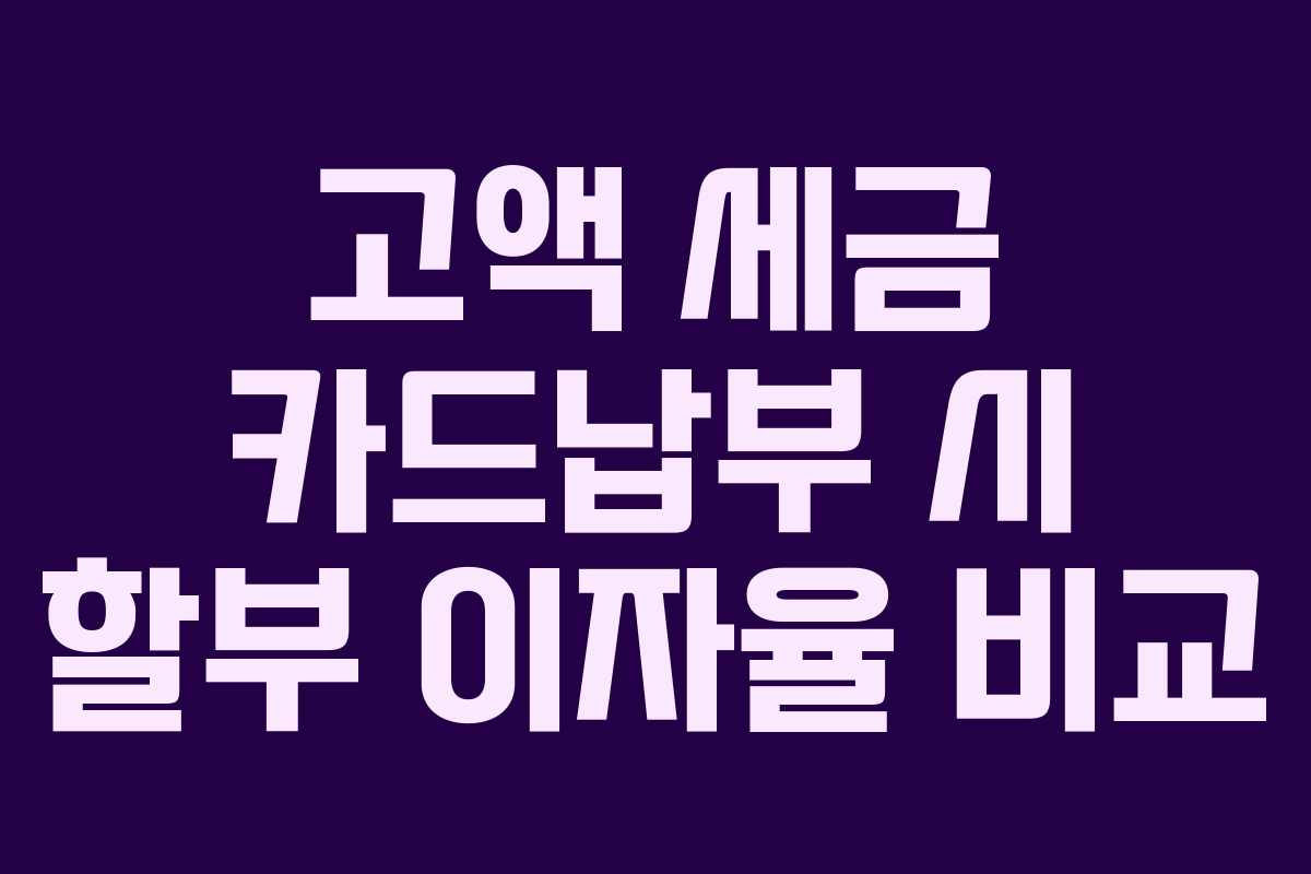 고액-세금-카드납부-시-할부-이자율-비교