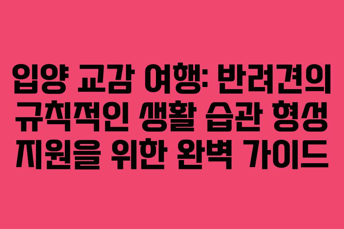 입양-교감-여행-반려견의-규칙적인-생활-습관-형성-지원을-위한-완벽-가이드