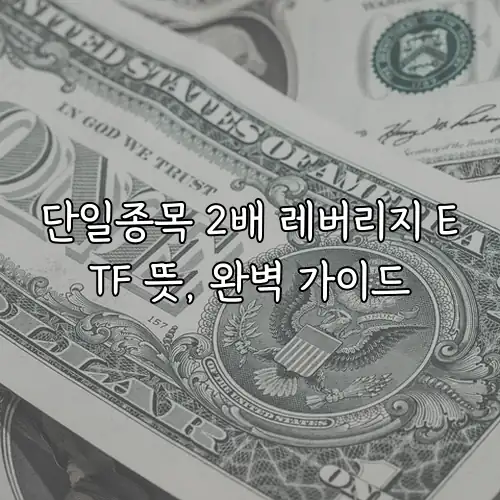 단일종목 2배 레버리지 ETF 뜻, 완벽 가이드