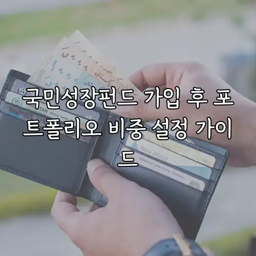 국민성장펀드 가입 후 포트폴리오 비중 설정 가이드