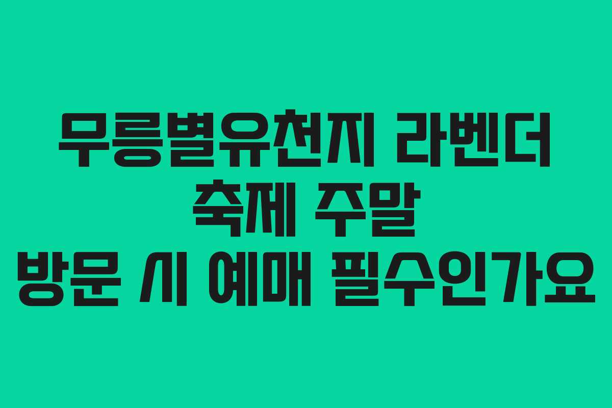 무릉별유천지-라벤더-축제-주말-방문-시-예매-필수인가요