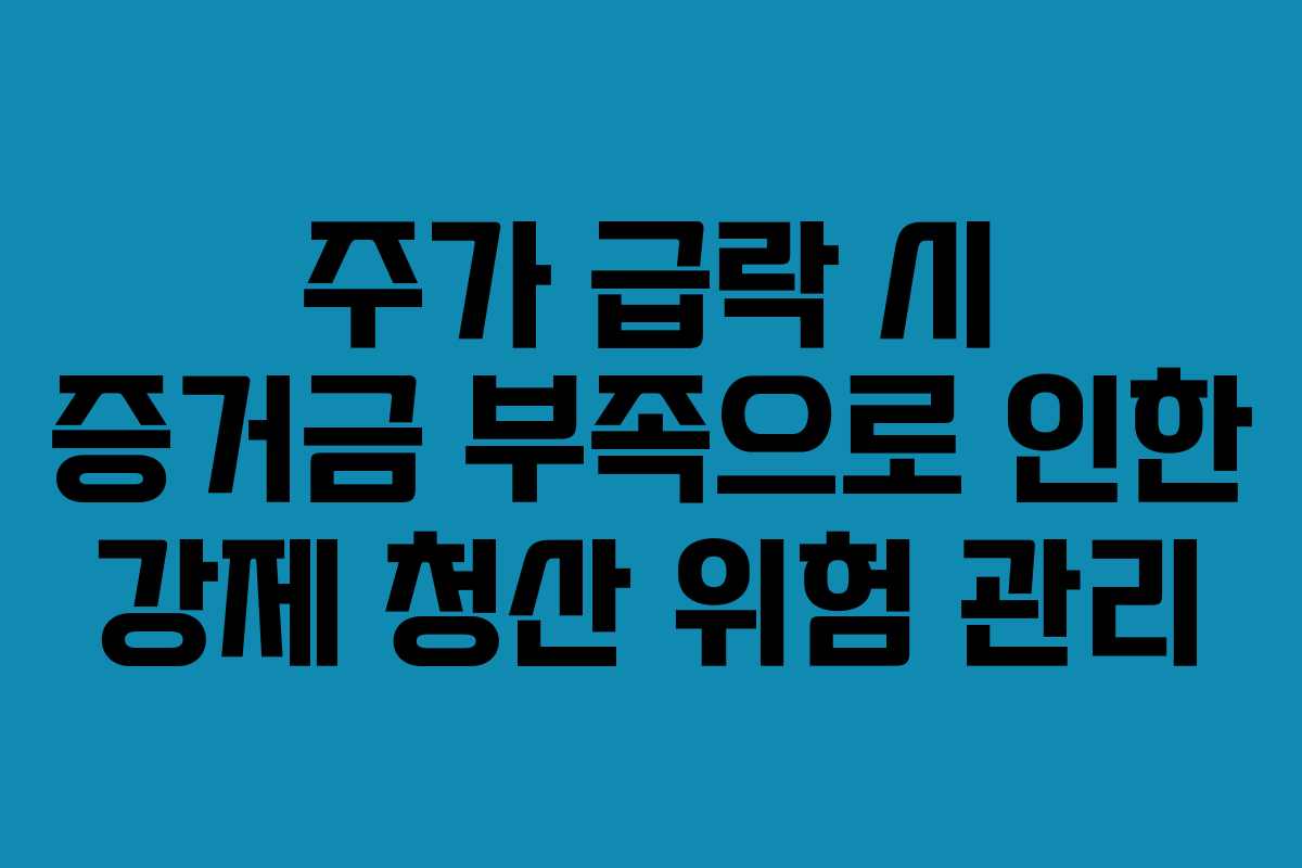 주가-급락-시-증거금-부족으로-인한-강제-청산-위험-관리