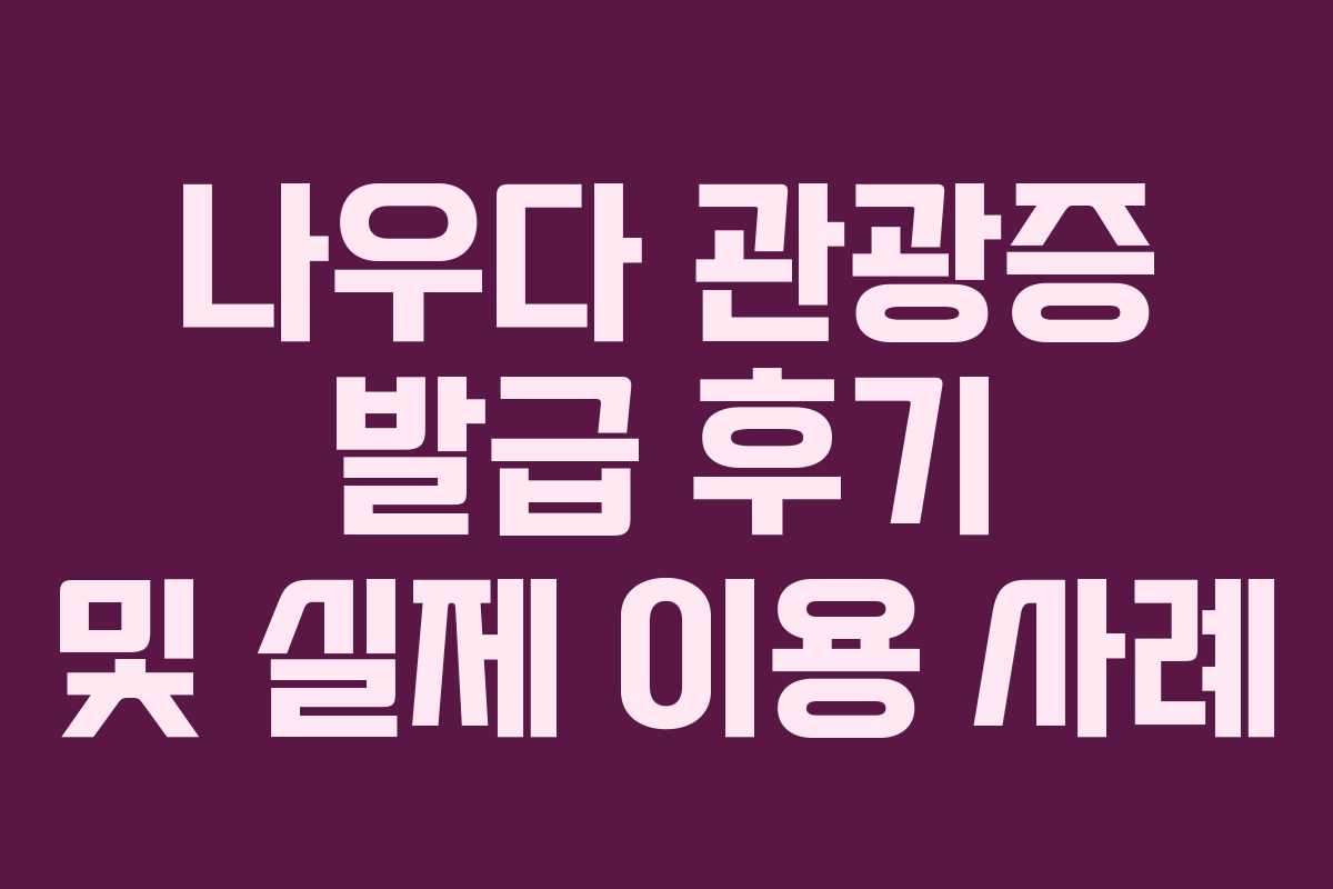 나우다-관광증-발급-후기-및-실제-이용-사례
