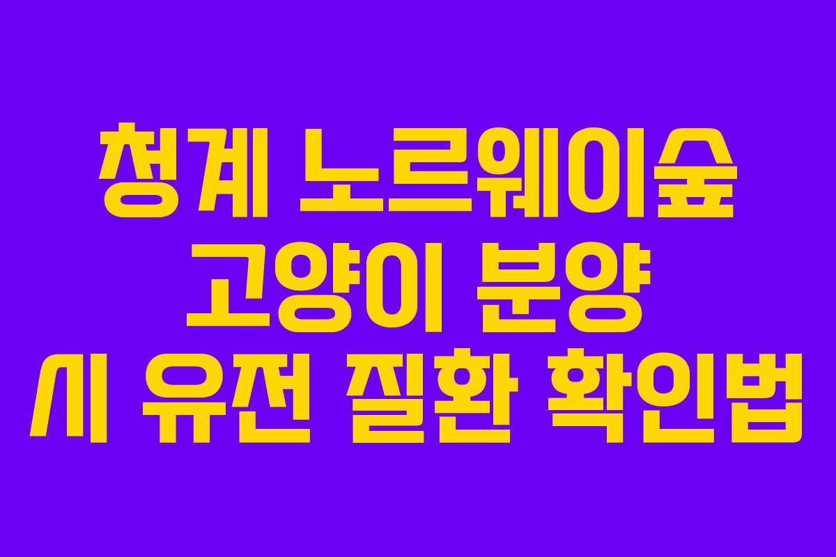 청계-노르웨이숲-고양이-분양-시-유전-질환-확인법