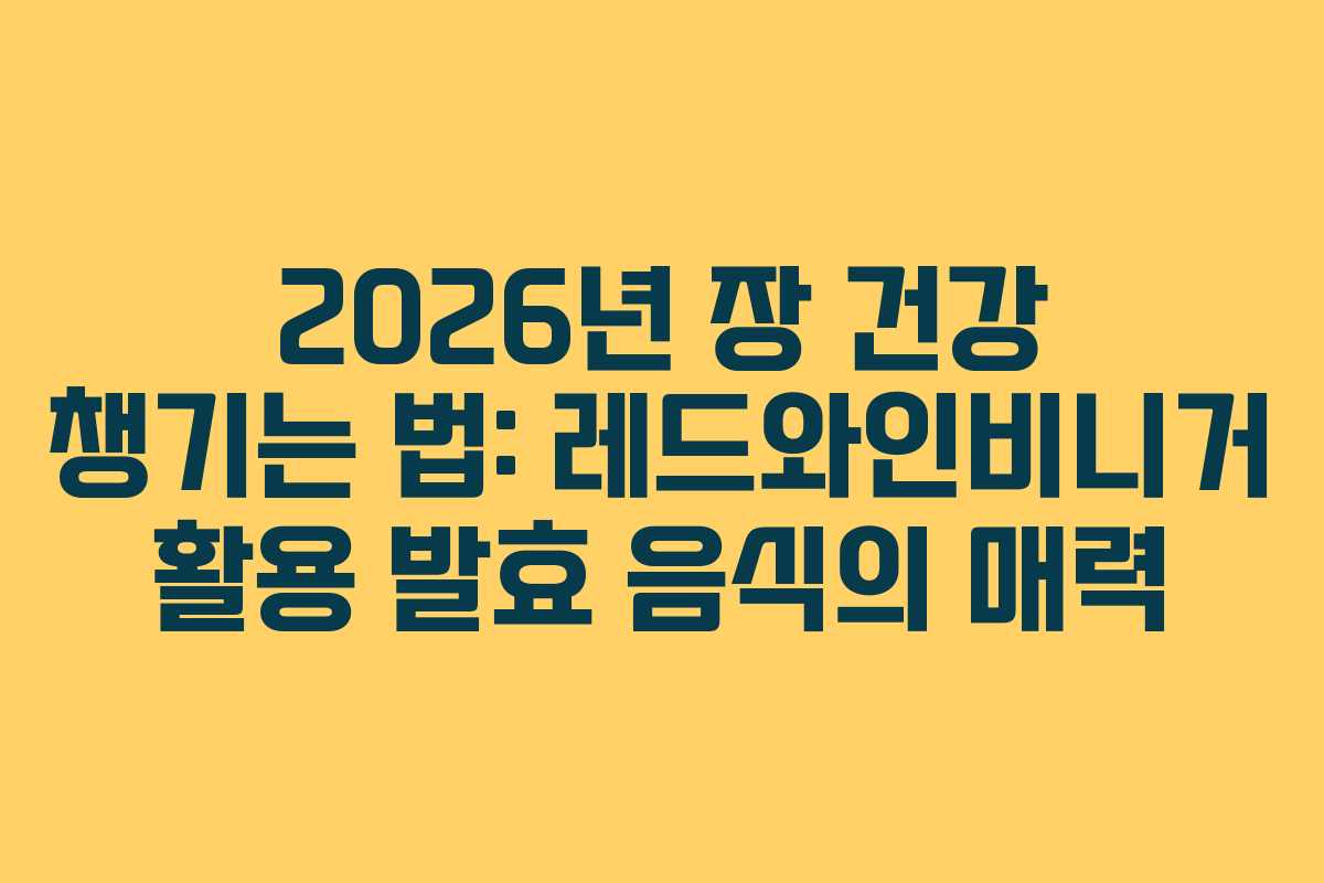 2026년-장-건강-챙기는-법-레드와인비니거-활용-발효-음식의-매력