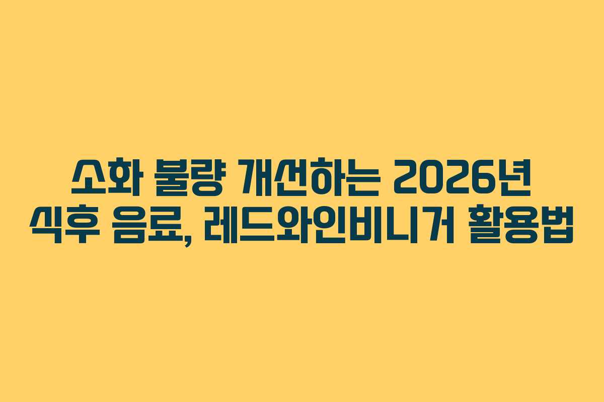 소화-불량-개선하는-2026년-식후-음료,-레드와인비니거-활용법
