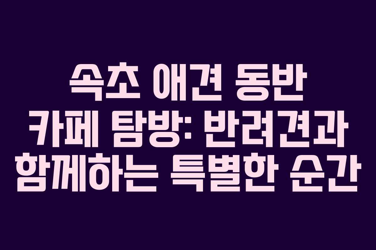 속초-애견-동반-카페-탐방-반려견과-함께하는-특별한-순간