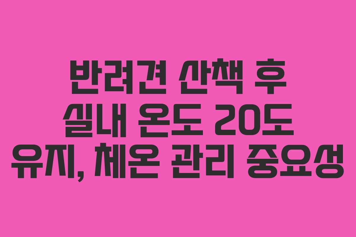 반려견-산책-후-실내-온도-20도-유지,-체온-관리-중요성